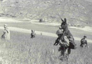 This photo is often misattributed to WWII, and I almost repeated the mistake, but I wasn't sure of the nationality of the soldiers and wanted to be sure. As it turns out, this is a photo of troops from the French 13e demi-brigade de Légion étrangère (13th Demi-Brigade of the Foreign Legion) in July, 1958.