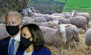 Is Sleepy Joe Even Still Alive?