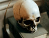 Cottonbro_Pexels_5095880_Cropped The Necessity of Death: The Law