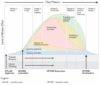 notional-operation-plan-phases winning the information war in ukraine